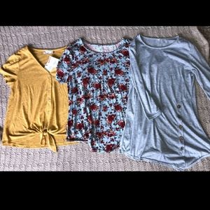 Large Shirt Bundle - (1) Maurices, The Pink Rose